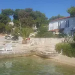 Delfin Rogoznica