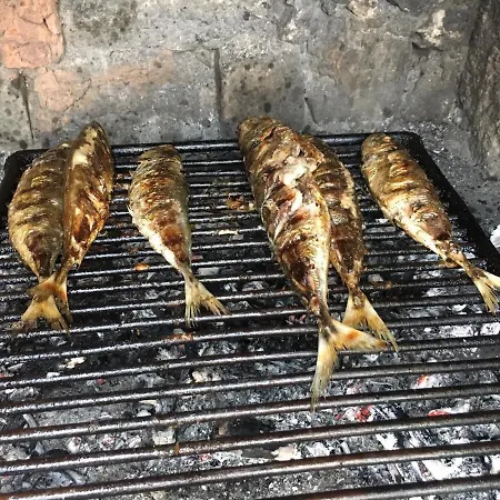 Delfin Rogoznica (Sibenik-Knin)