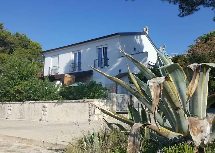 Delfin * روغوزنيكا