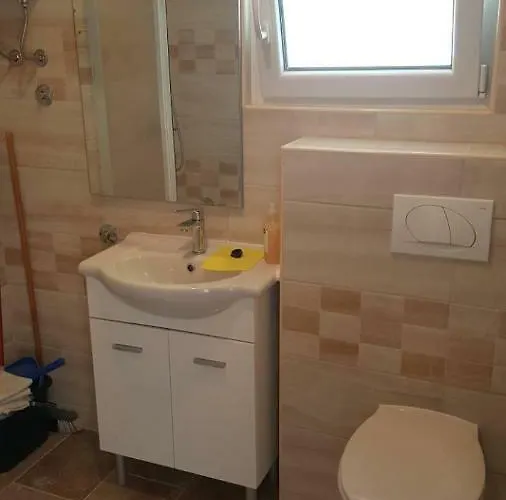 Delfin روغوزنيكا