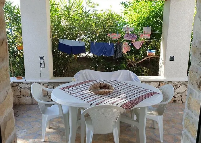 Delfin * روغوزنيكا