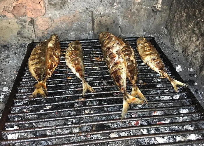 Delfin Rogoznica (Sibenik-Knin)